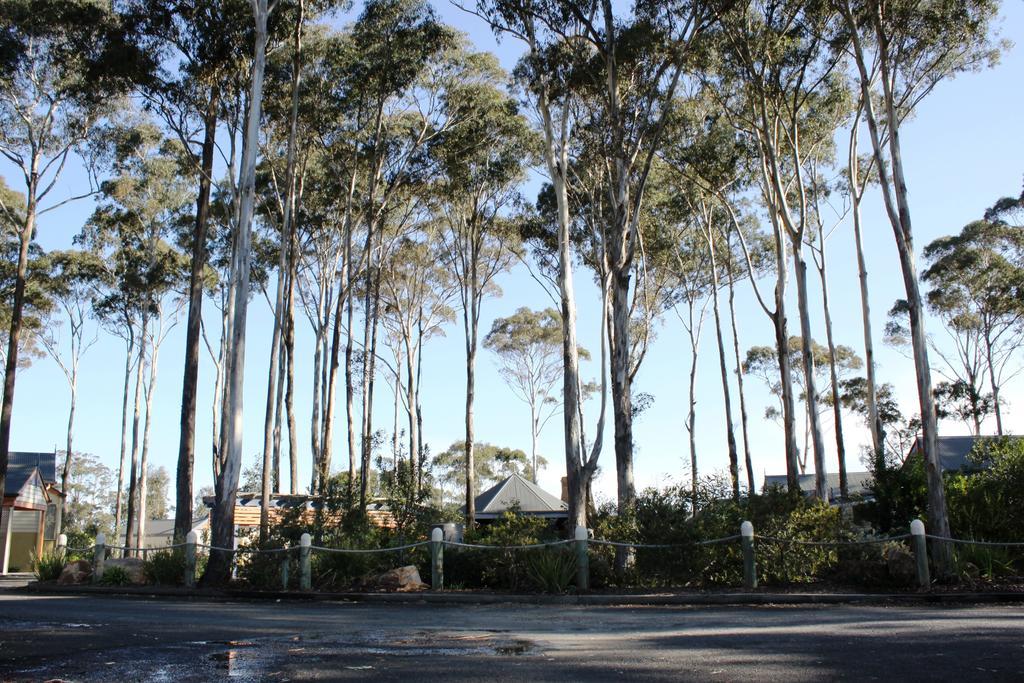 Waverley House Cottages Lakes Entrance Esterno foto